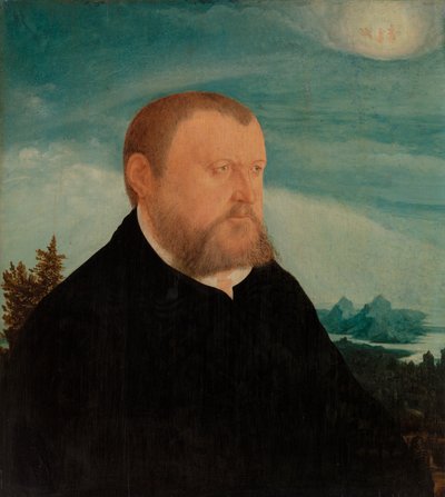 Portrait of a Man by Wolf Huber